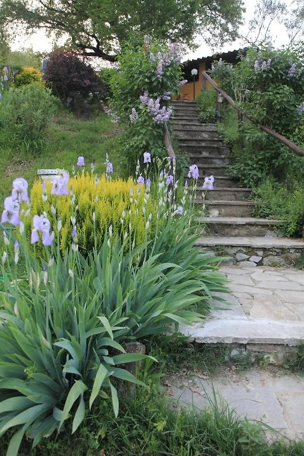 Agriturismo Fattoria Il Ginepro Villa Talla Italy