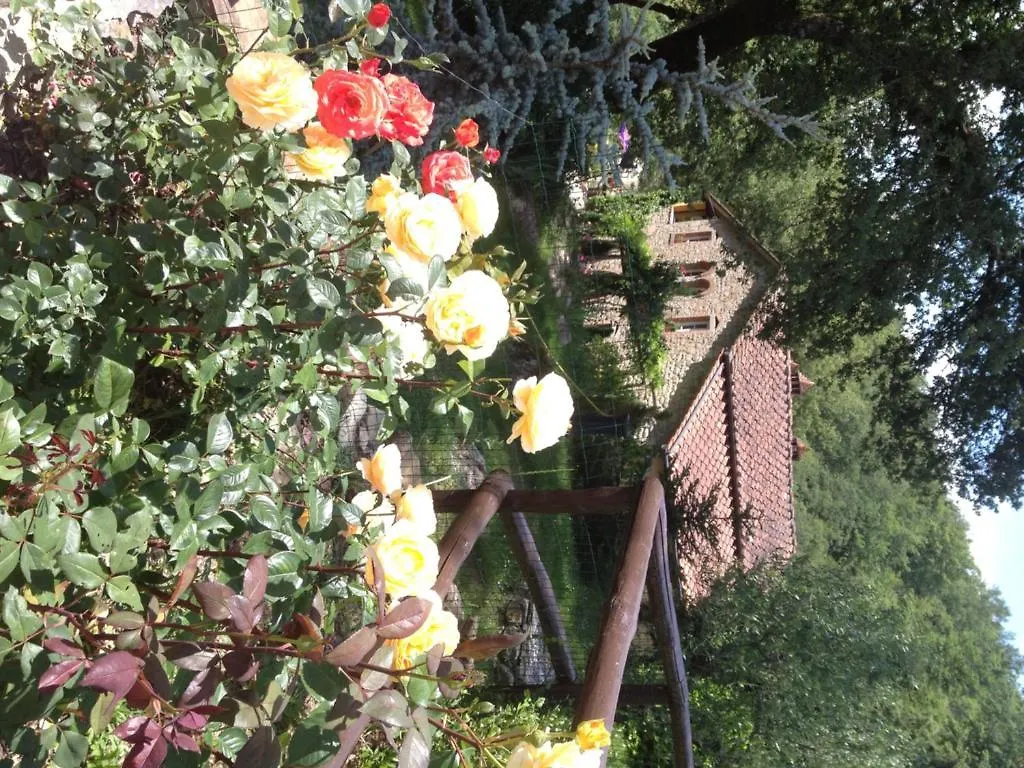 Agriturismo Fattoria Il Ginepro Villa Talla Farm stay