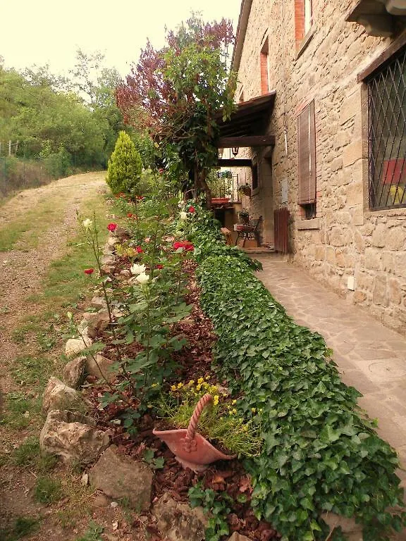 Agriturismo Fattoria Il Ginepro Villa Talla 0*,
